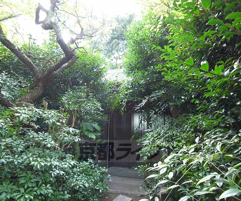 主圖