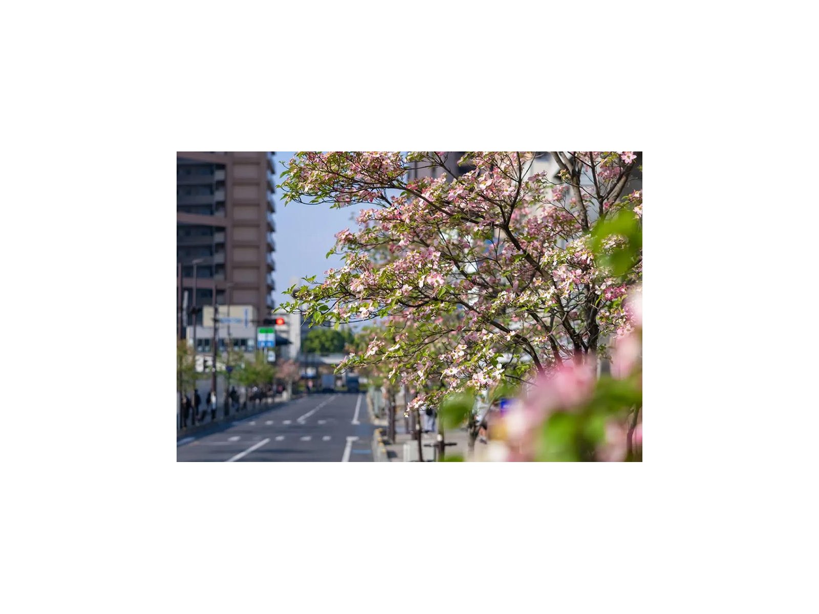 來源附圖 20