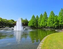 案件圖片 8