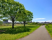 來源附圖 19