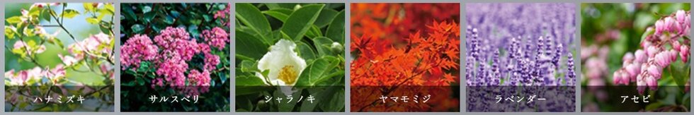 案件圖片 8