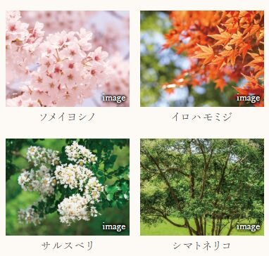 案件圖片 6