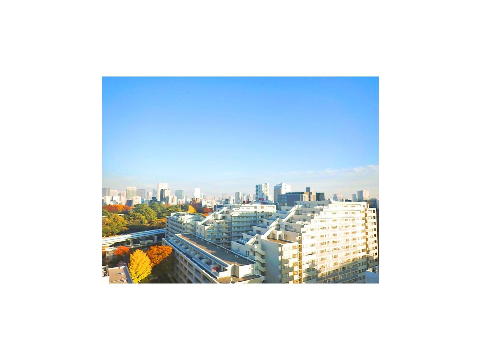 主圖